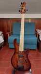 Cort gb fusion 5