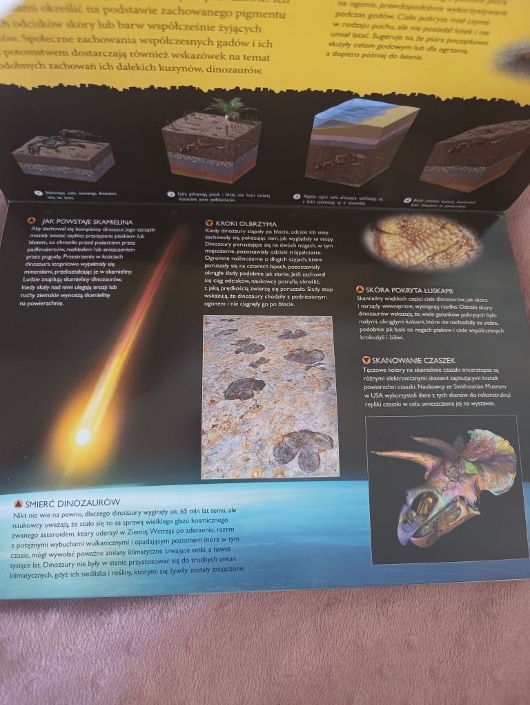 Odkrywca 3 D Dinozaury