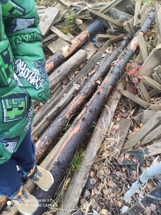 Słupki drewniane do ogrodzenia stemple