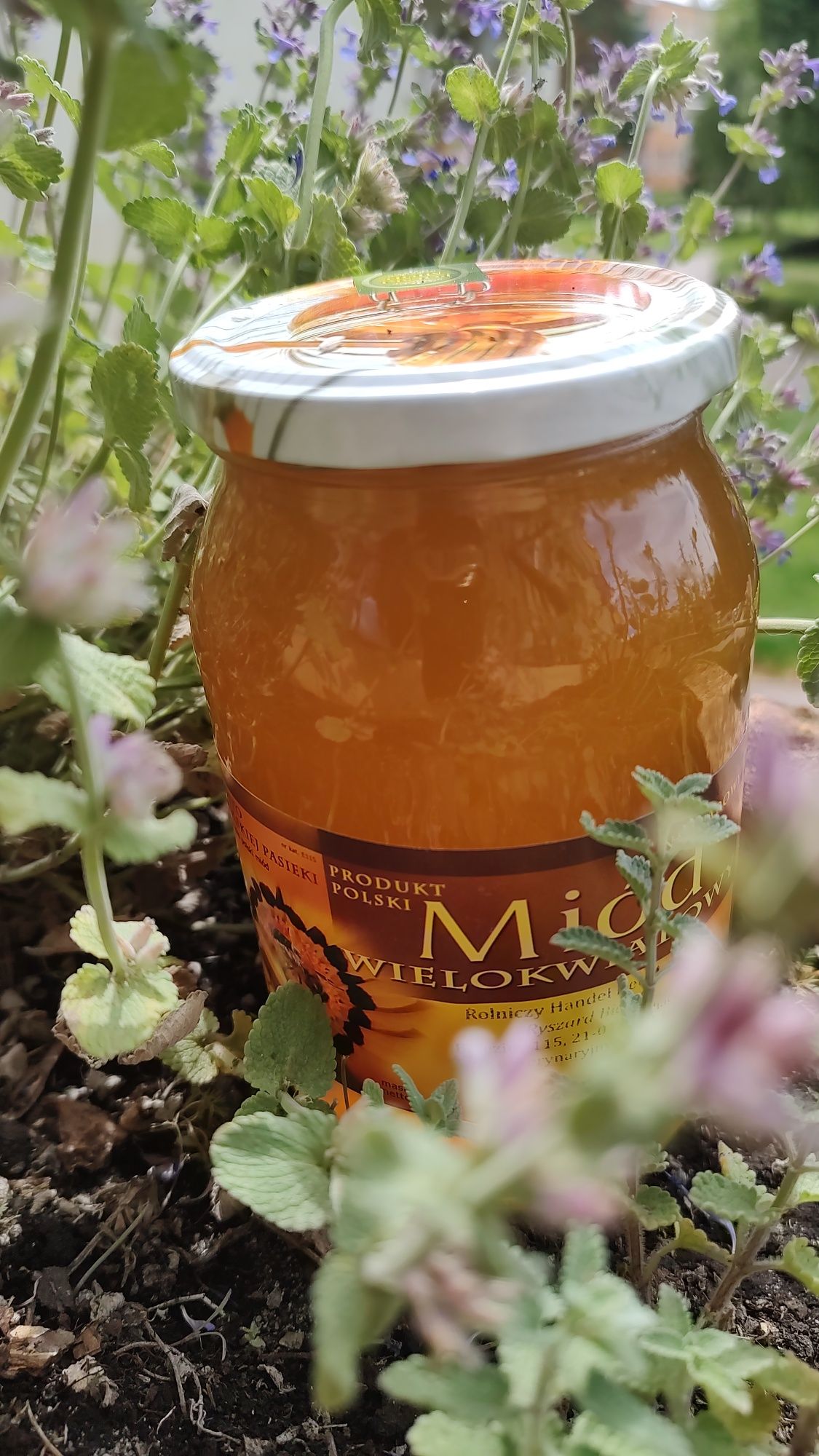 Miód wielokwiatowy, rzepakowy