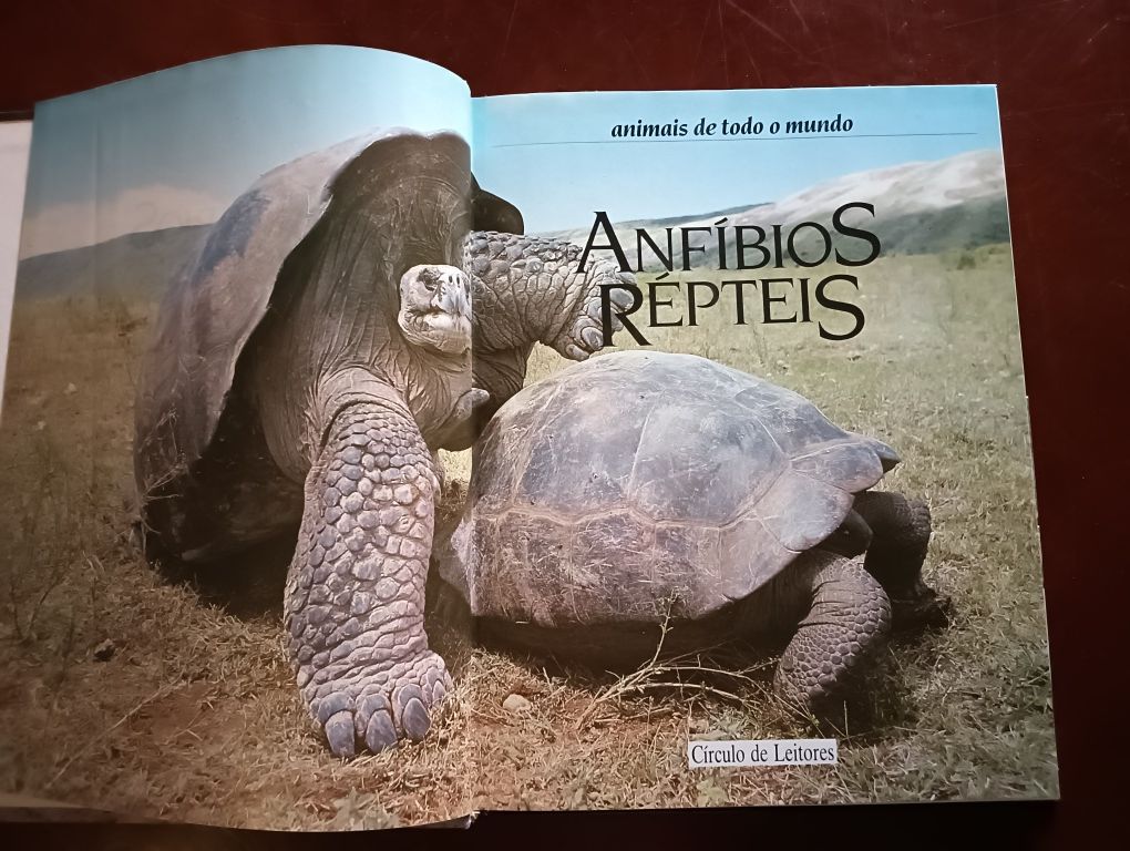 Anfíbios e Répteis; Coleção Animais de todo o Mundo do C. Leitores*