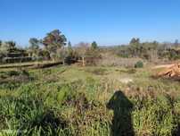 Lote de Terreno em Penalva do Castelo