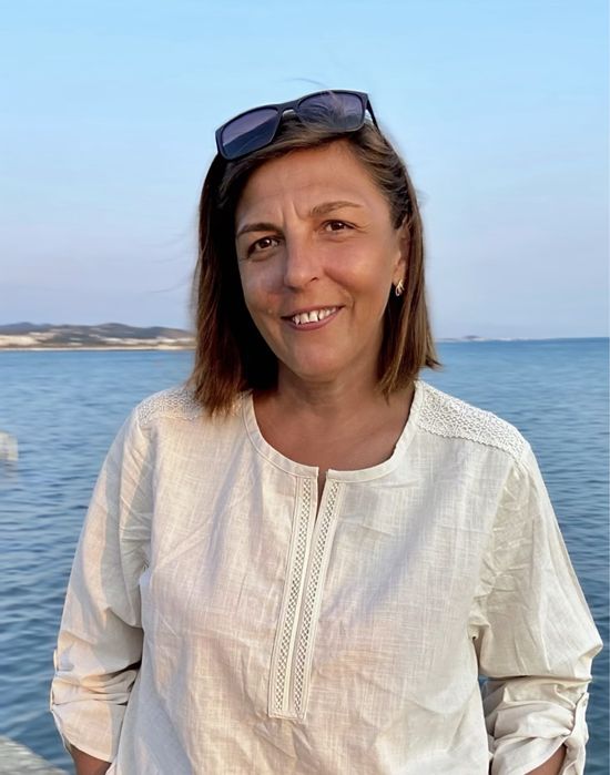 Репетитор із математики 2-11 класи| англійська | українська | історія