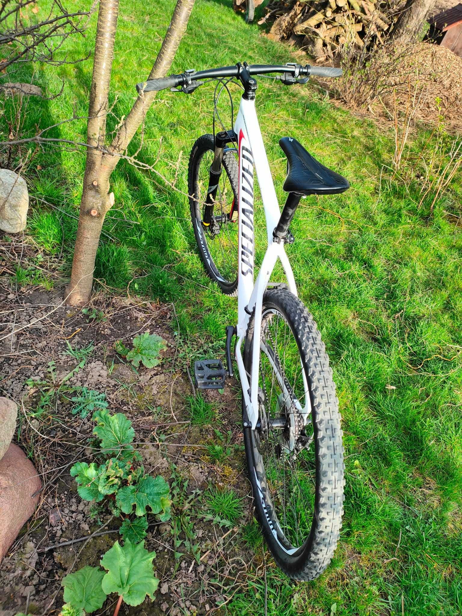 Specialized Rockhopper 29" XL