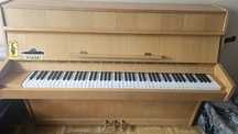 Pianino Calisia, sosna