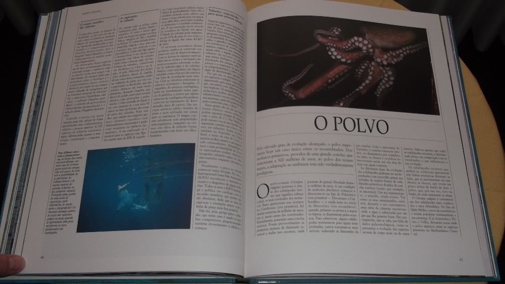 livro da Vida Selvagem Animais dos Mares e Oceanos