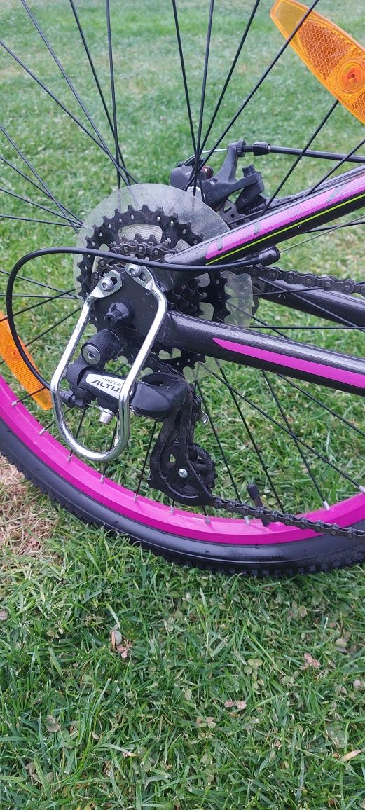 Giant Liv Enchant 1 disc 24"