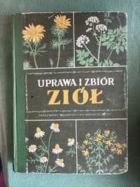 Uprawa i zbiór ziół PWRiL Warszawa 1953r