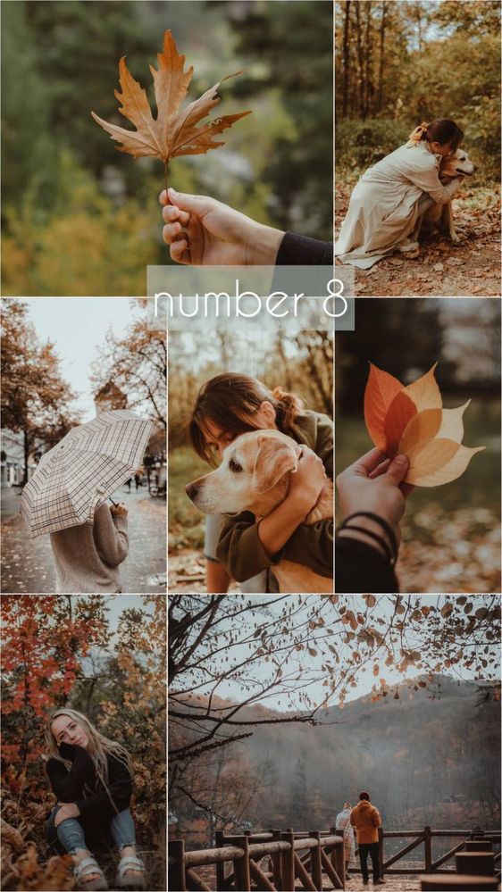 Пресеты для фото, lightroom presets, Лайтрум, Windows, phone