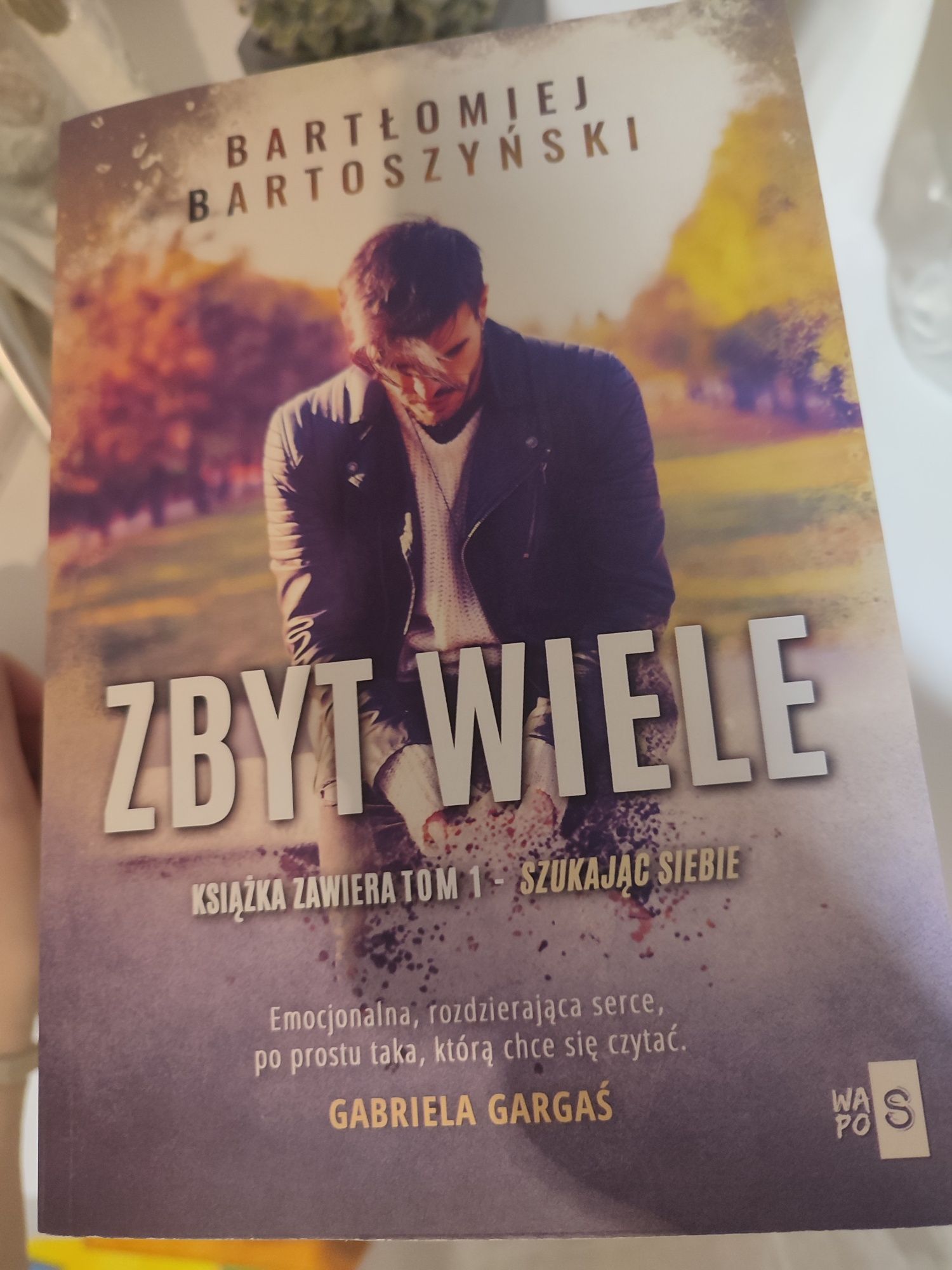 Książka Zbyt wiele