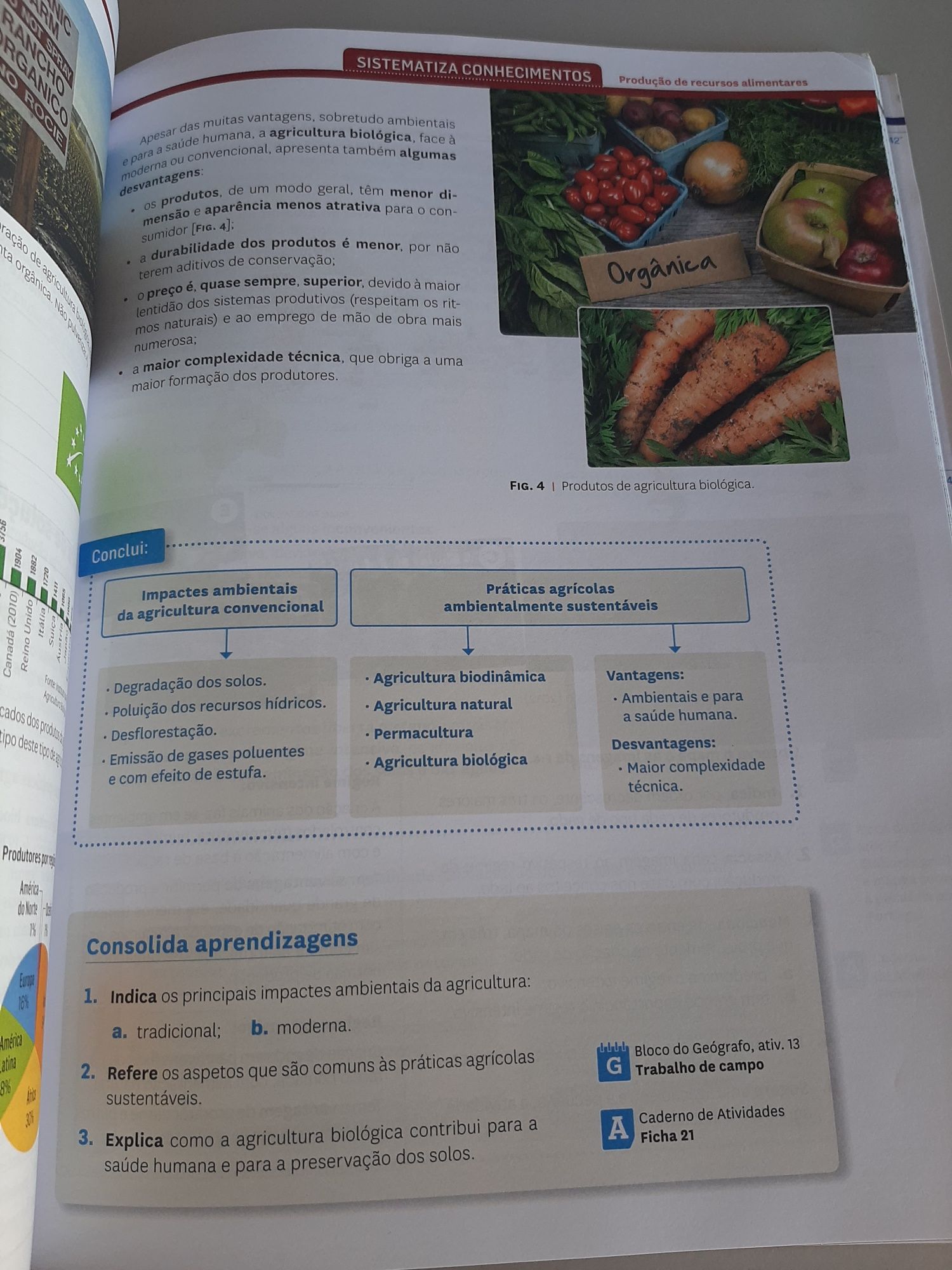 Manual Mapa Mundo -Geografia 8 ano