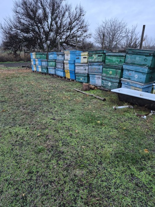 Продам вулики б/у.