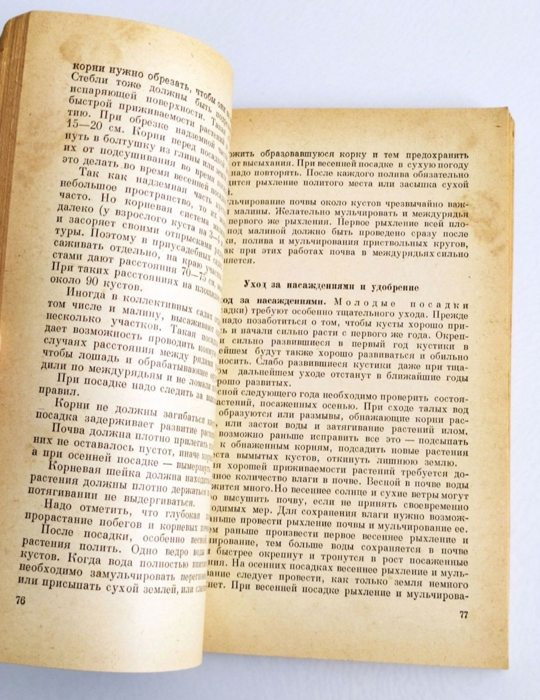 ЯГОДНЫЕ КУЛЬТУРЫ в приусадебном саду малина смородина крыжовник ягоды