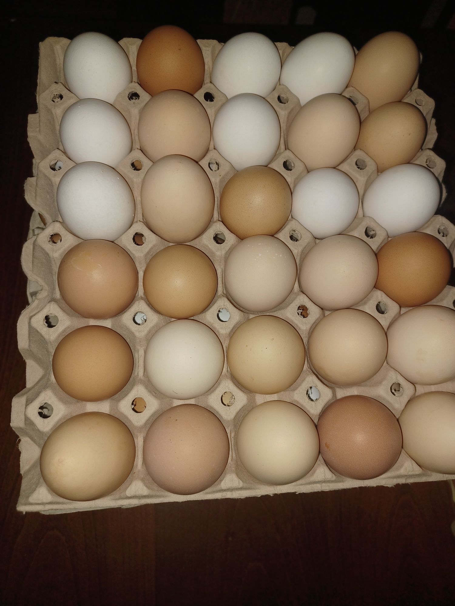 Jajka jaja wiejskie
