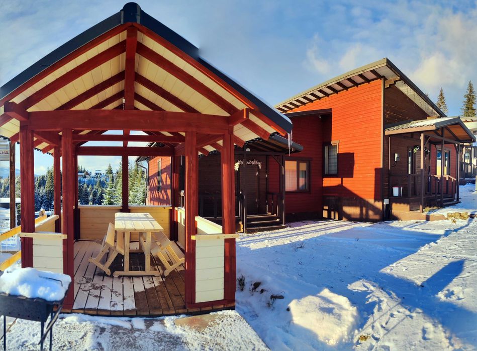 Довгострокова оренда Будинок Яблуниця Буковель