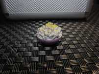 Akcesoria popcorn kukurydza LPS Hasbro