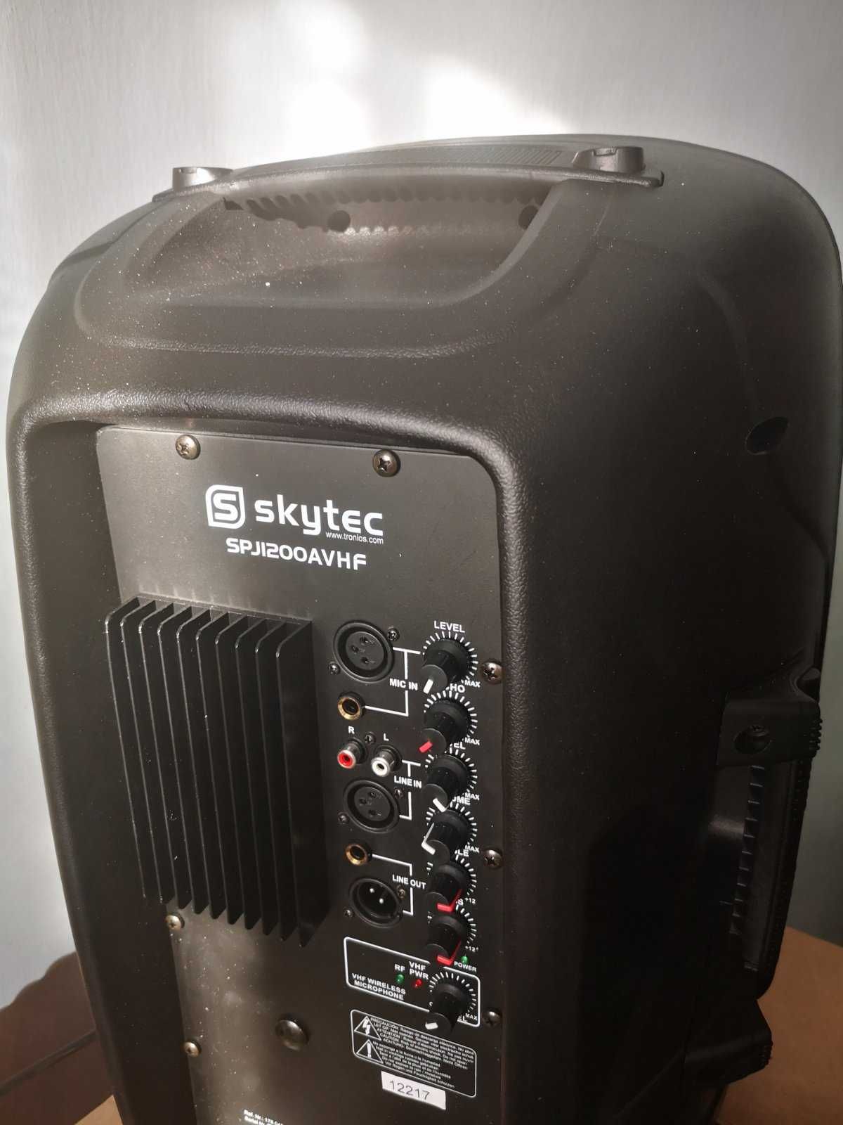 Активная колонка караоке Топ Монитор Skytec 12".122 дБ.8 Ом.300 Вт