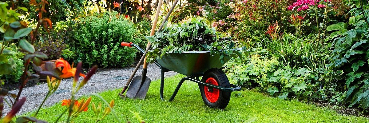 Ogrodnictwo i pielęgnacja zieleni