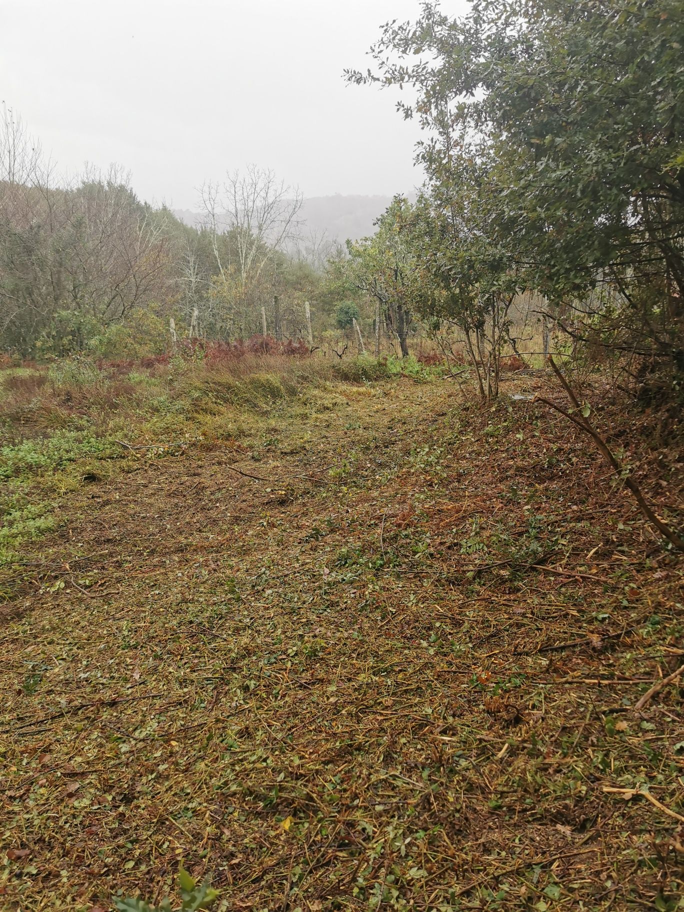 Limpeza de terrenos alguma dúvida ou interesse contactar