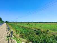 Продаж 90 соток землі з комерційним призначенням, м. Івано-Франківськ