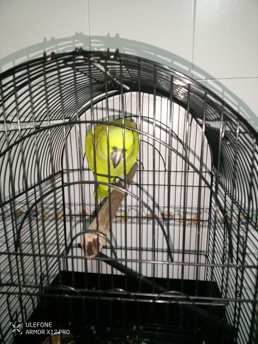 Vendo ou troco tudo completo