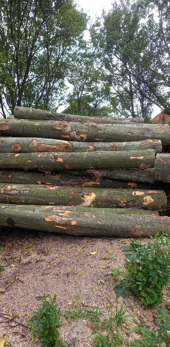 Sprzedam Drewno Opałowe I Kominkowe. Grab ,Buk