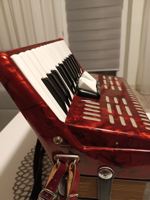 Akordeony z Dani.