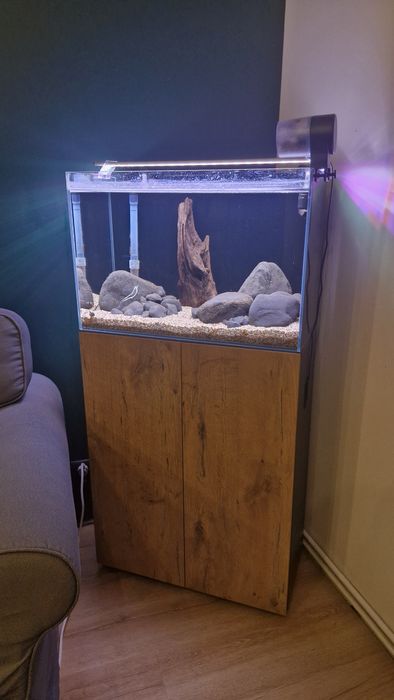 Akwarium 64 l z szafką, filtrem, lampą