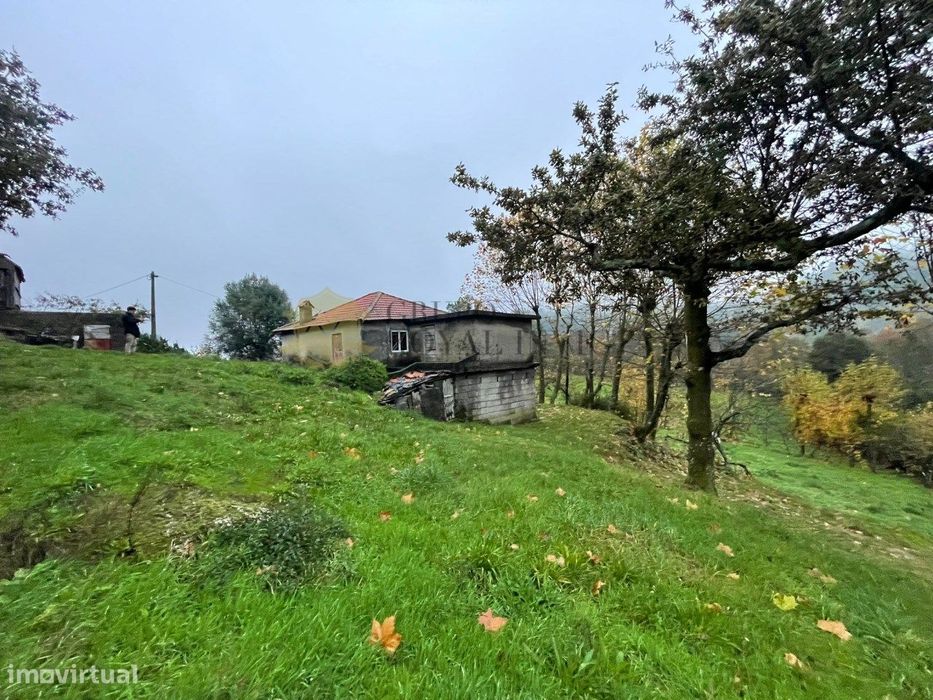 Quinta  Ribas Celorico de Basto + Pinhal - Oportunidade Turismo Rural