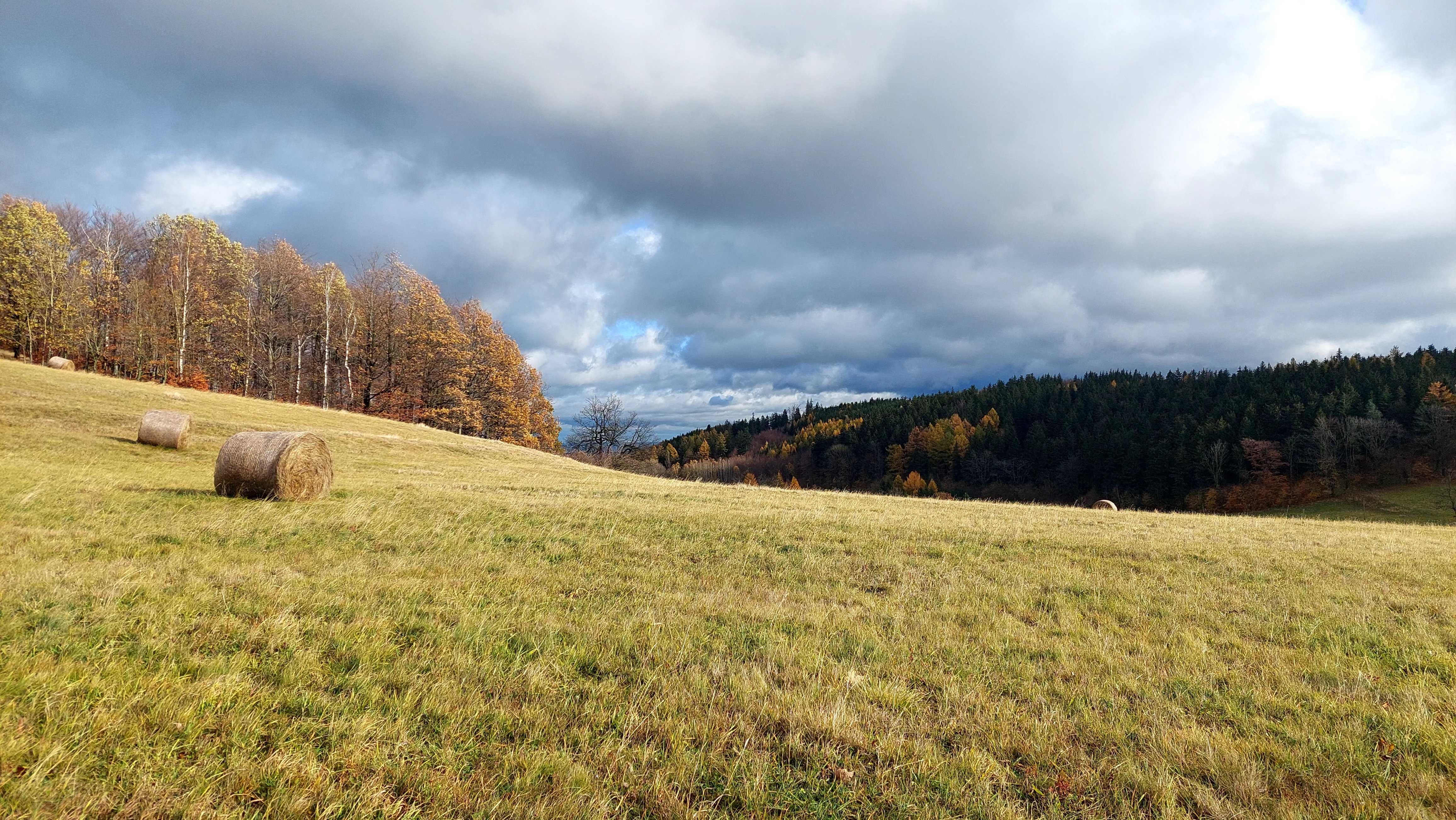 działka w górach z widokiem na Sudety - media