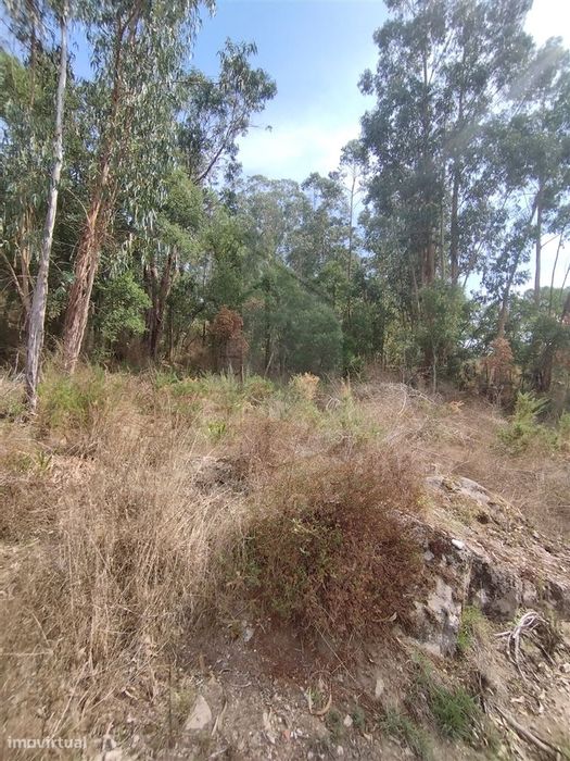 Terreno  Venda em Crespos e Pousada,Braga