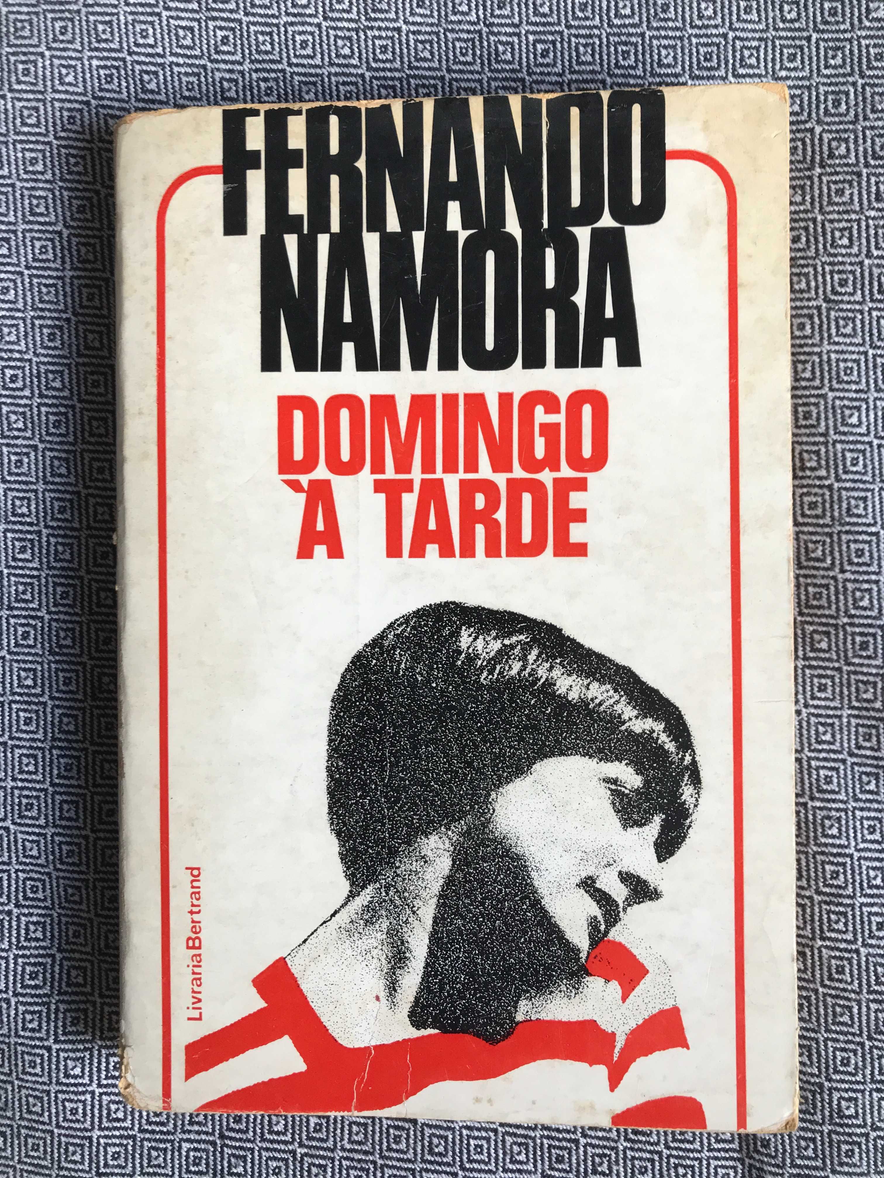 Domingo à tarde - Fernando Namora