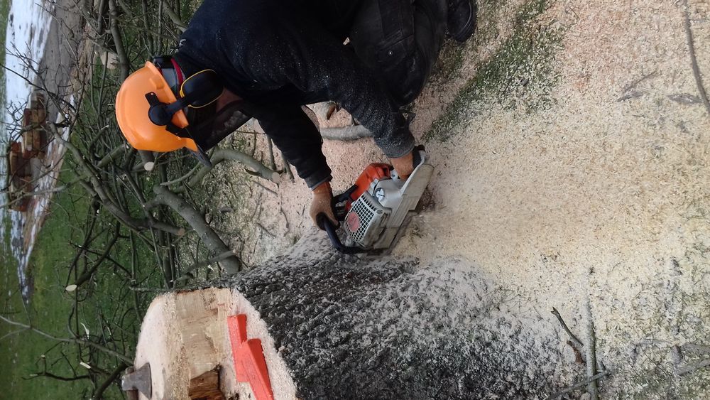 Wycinka drzew ogrody koszenie czyszczenie działek Mielenie rębak