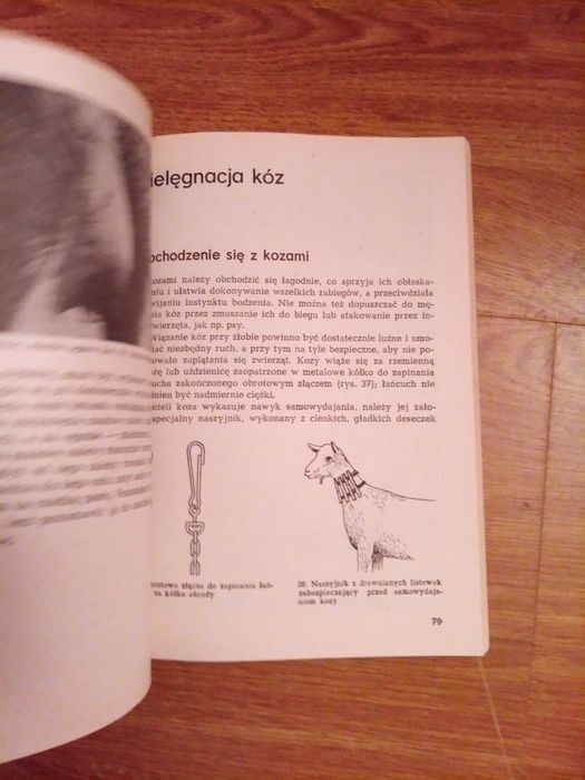 Książka chów kóz