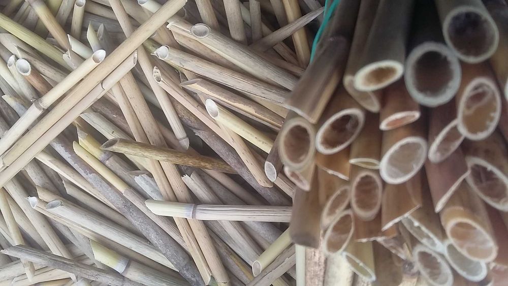 RURKI TRZCINA dla Pszczoła Murarka ROGATA >8mm - Kokony – Ule