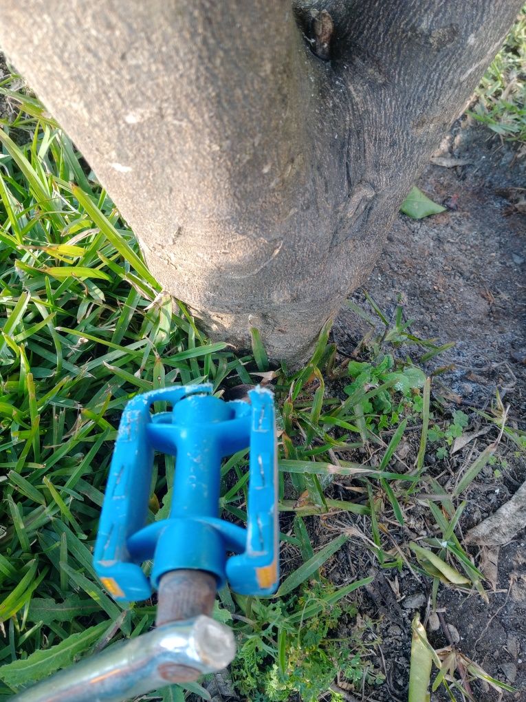 Bicicleta criança