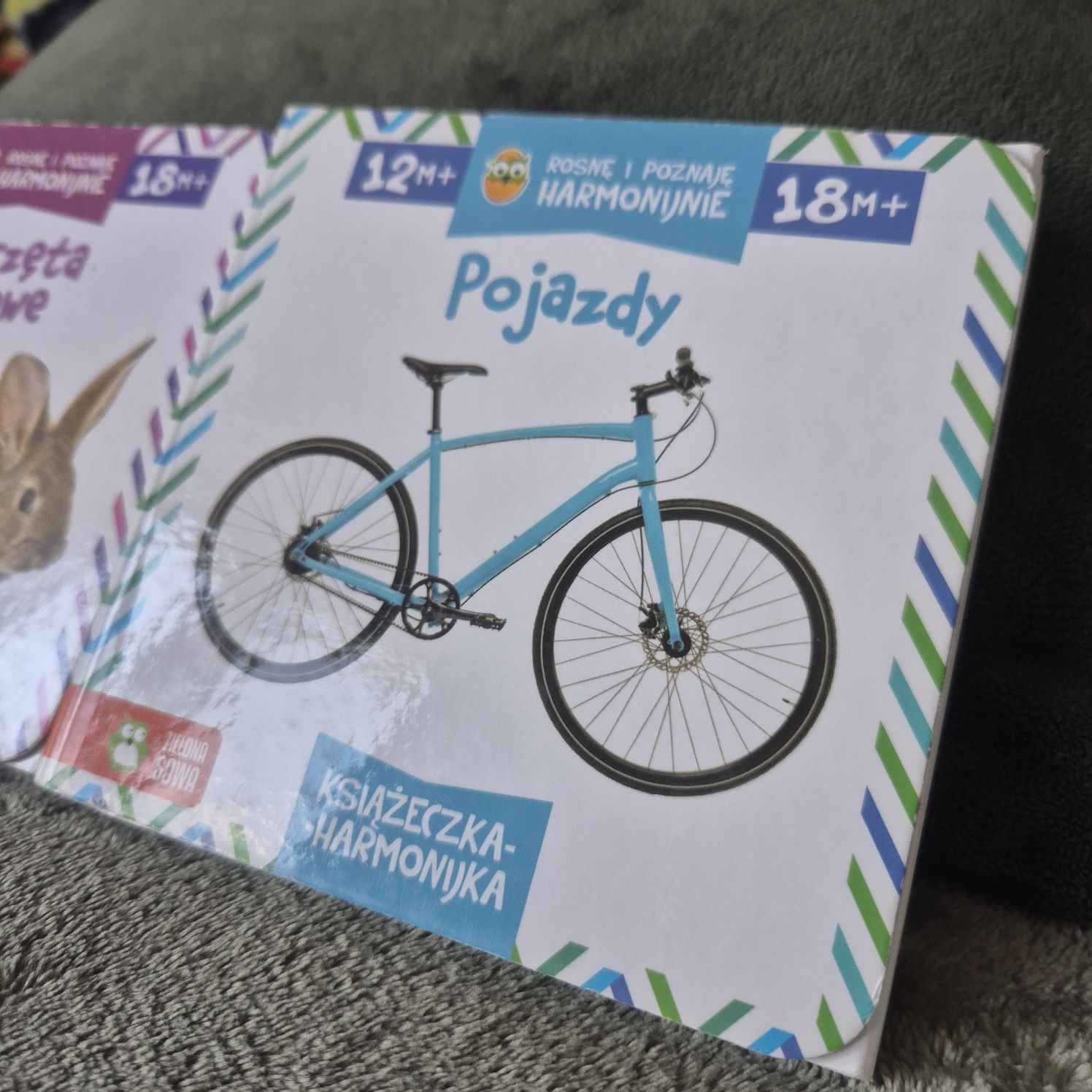 Książeczka harmonijka zwierzęta domowe + pojazdy