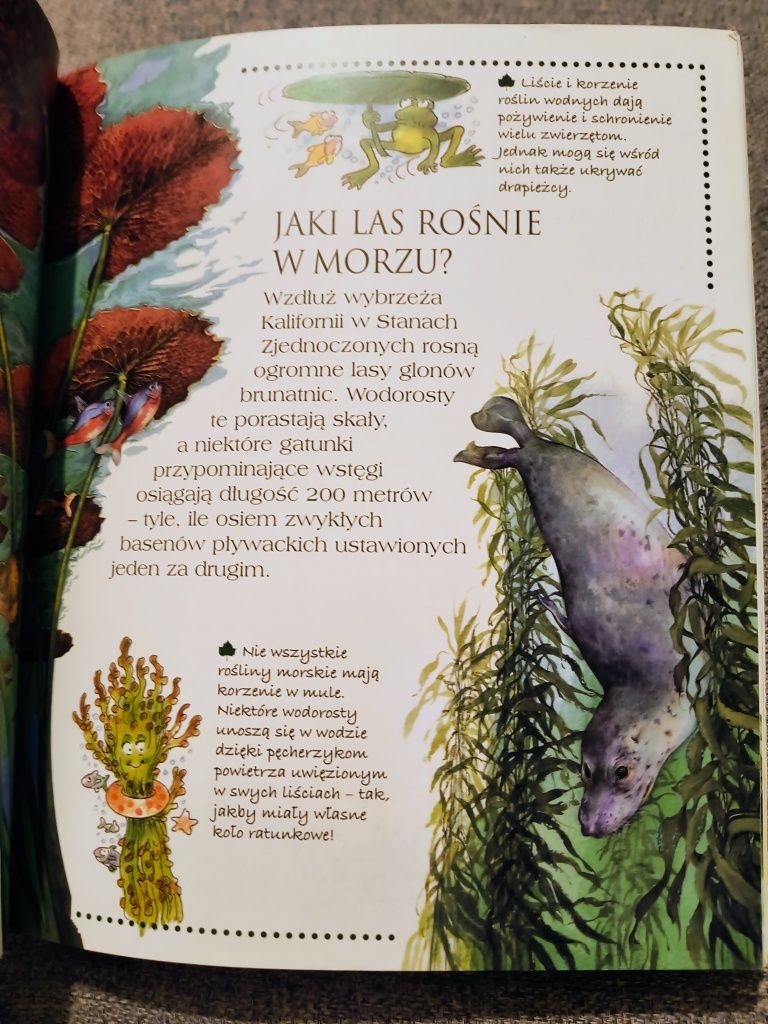 Ciekawe dlaczego Księga Zwierząt okładka 3D