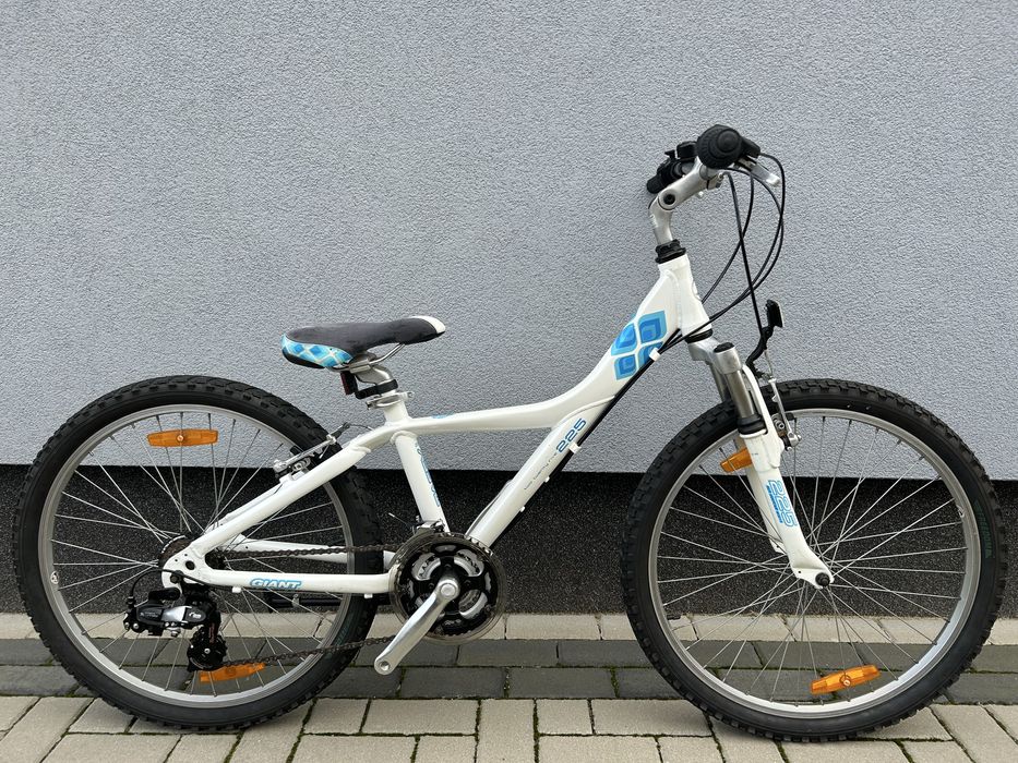 Rower Giant Taffy 24”