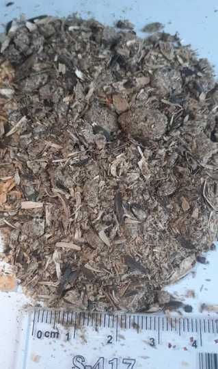Śruta Słonecznikowa - 25ton - dostawy cało samochodowe - cena brutto