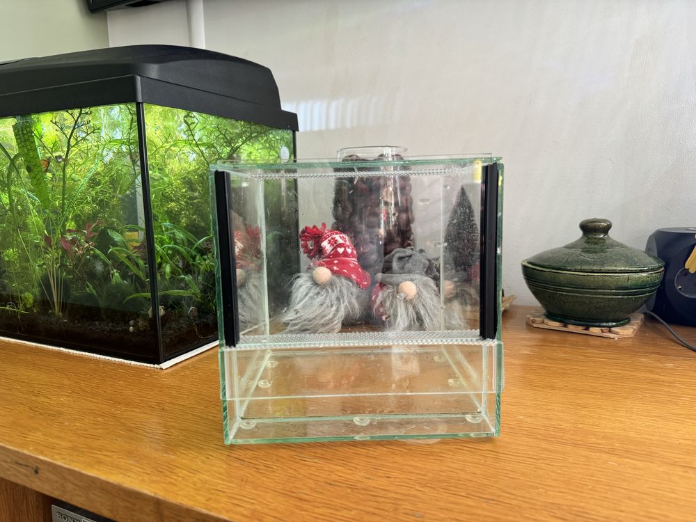 Terarium 8 l, 20x20x20