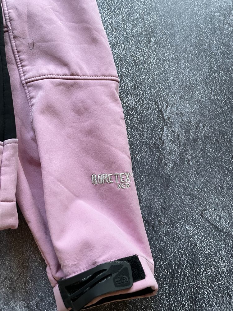 Вітровка The North Face Gore-Tex