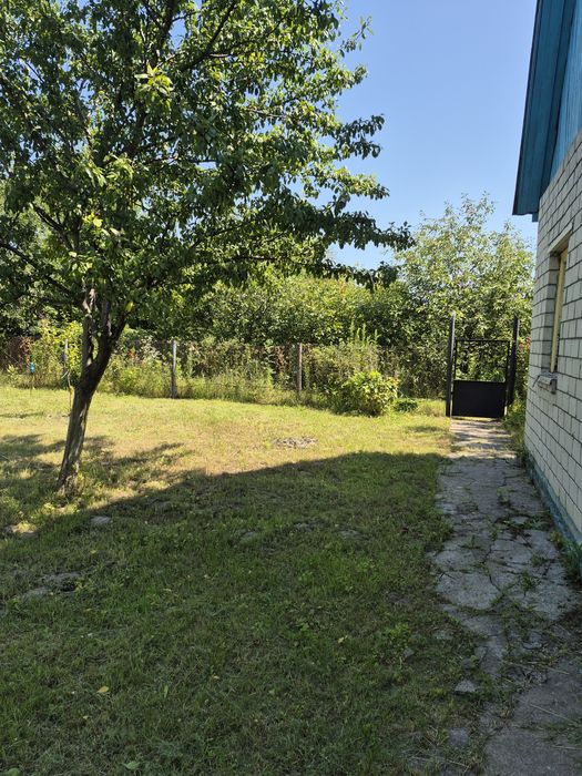 Дача.Березанка, с/т Снов'янка