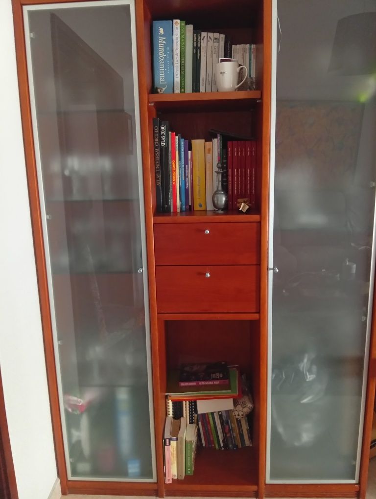 Móvel de sala com duas portas de vidro