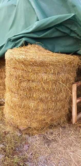 Słoma sucha bele bela balot transport