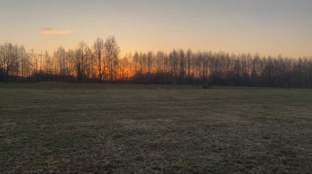 Działka budowlana 15arów Grabie , Widokowa