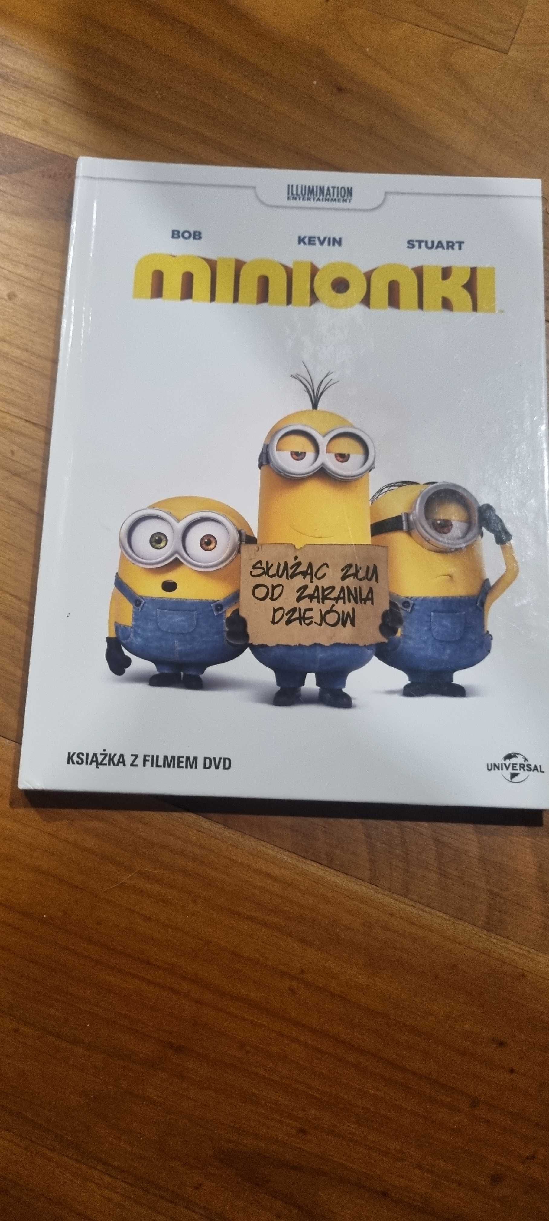 Film na dvd minionki