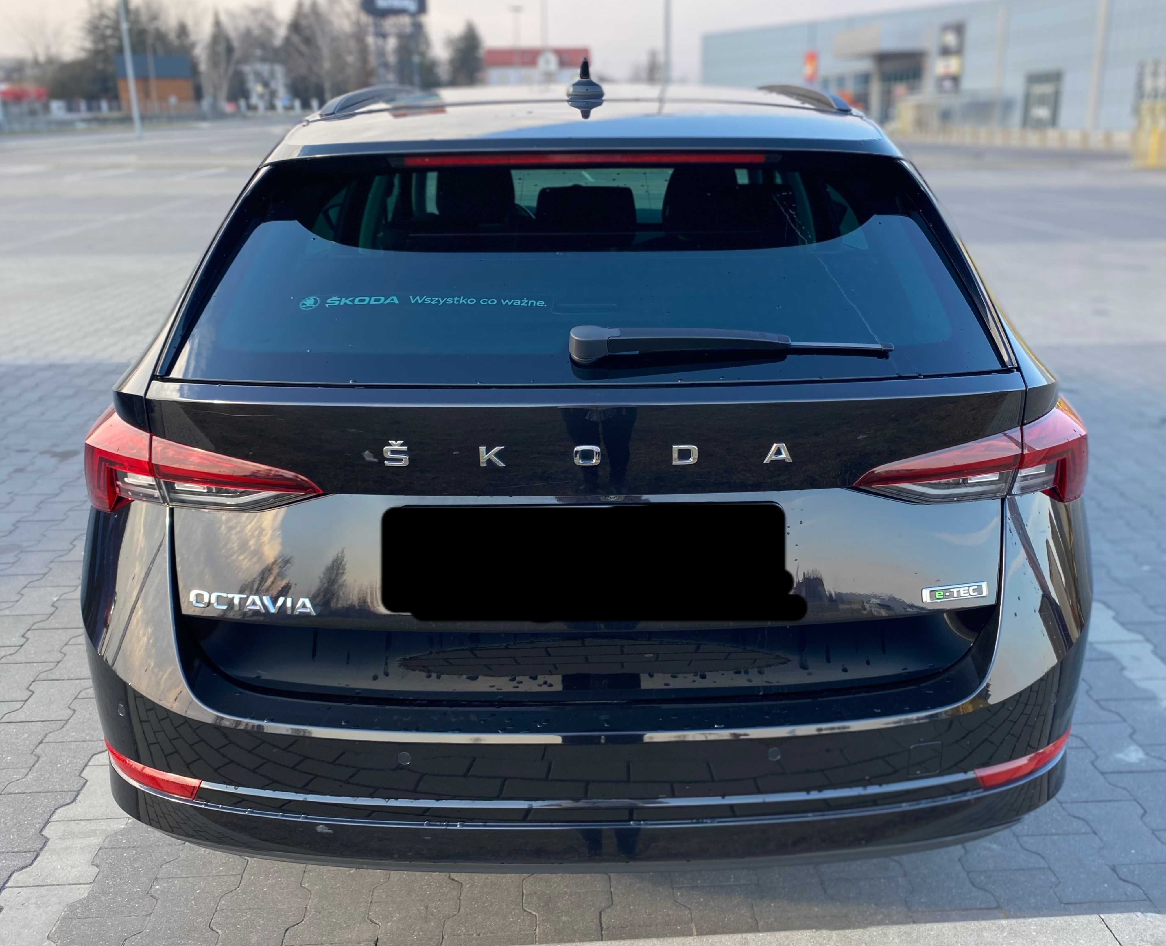 Wynajem, wypożyczalnia samochodów KOBARDO-CARS Ciechanów SKODA OCTAVIA