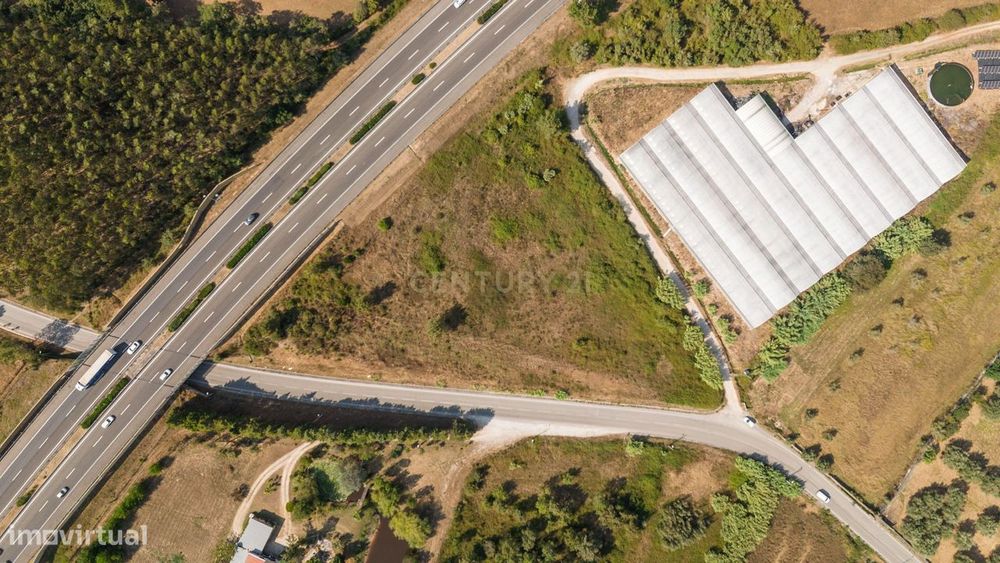 Terreno Agrícola de Produção Tipo II | 11.275m² | Condeixa-a-Nova