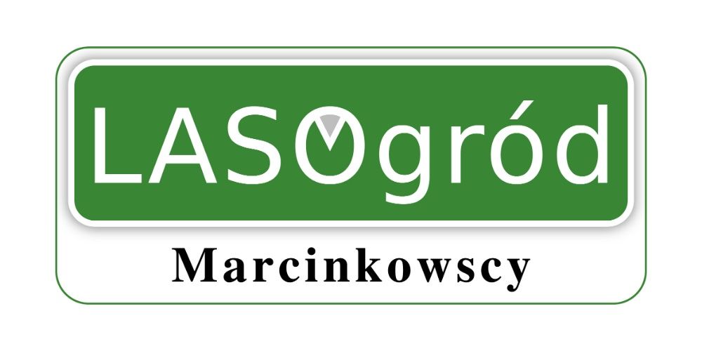Agregat Prądotwórczy Cedrus AG5-1F 10KM Marcinkowscy Łódź-waw